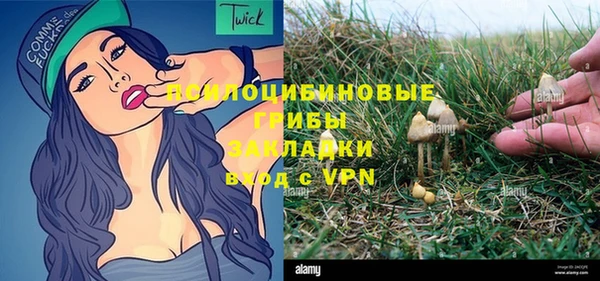 прущий лед Касимов