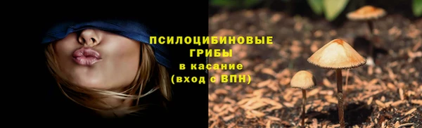 прущий лед Касимов