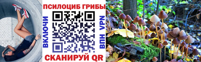 Псилоцибиновые грибы Cubensis  Купить закладки  Знаменск 